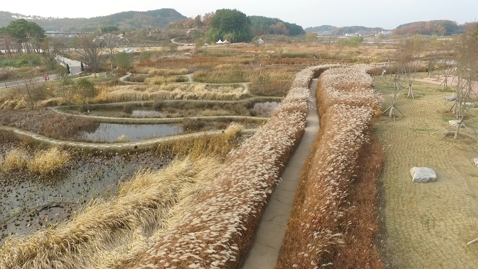 국립생태원 산들바람길, 사진제공: 생태원