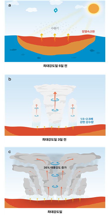 고수온 해역 지나는 태풍 최대 평균 강도 35% 강화